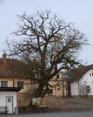 Náhodná fotogalerie