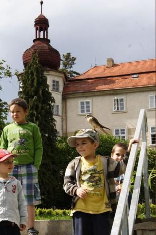 Náhodná fotogalerie